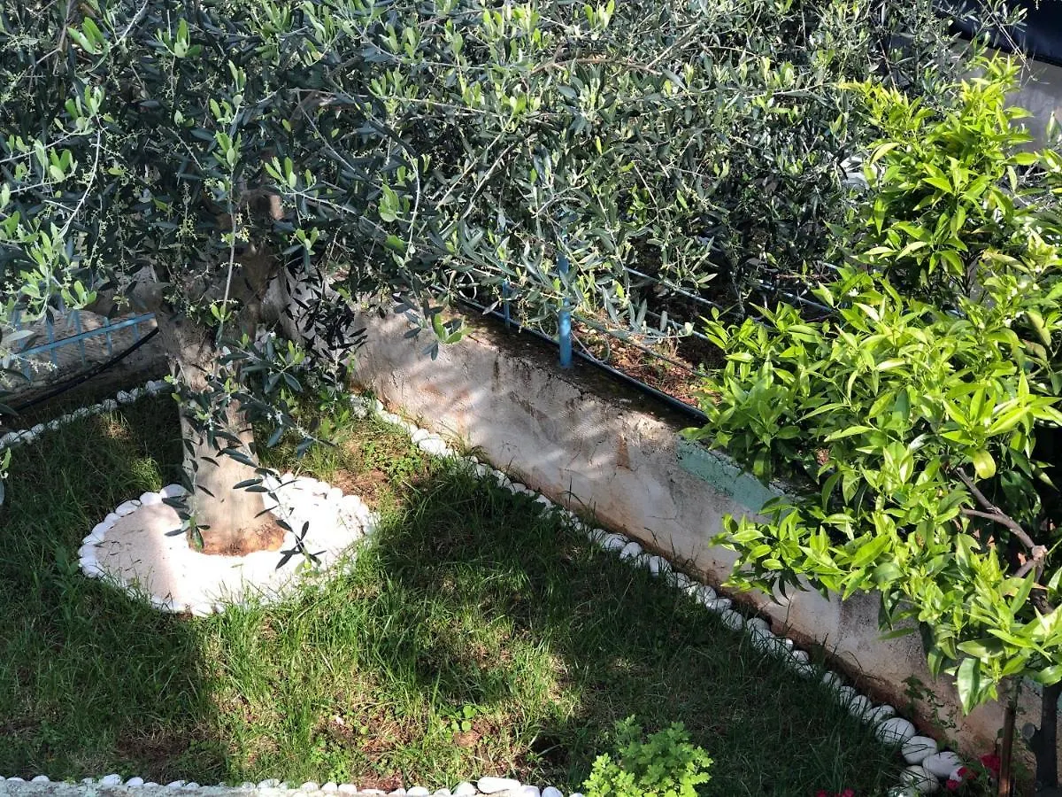 Guest house Villa Elvis Caca Ksamil